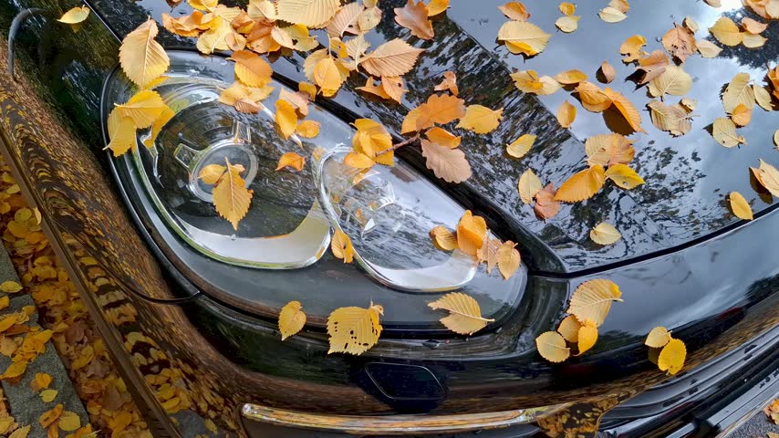 Vertical tracking shot from car headlight to wipers and hood covered with autumn yellow leaves. Seasonal concept footage.