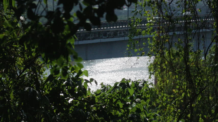 Sunlight glitters on a river seen through leafy branches, with a bridge crossing the background.