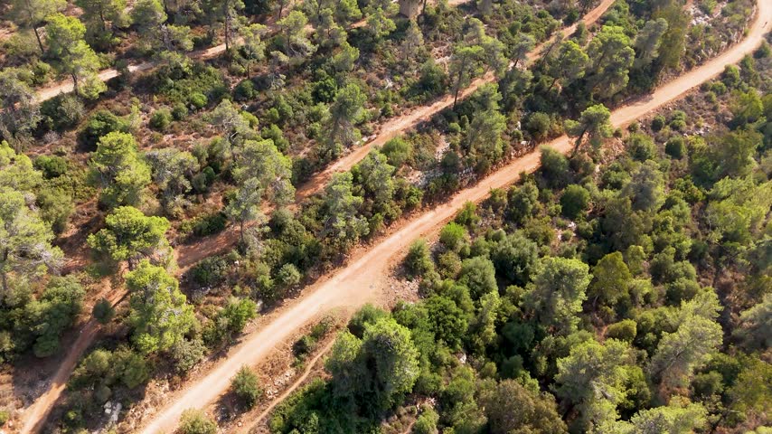 Aerial view of a dirt path winding through a dense pine forest with sunlight filtering through the trees in Ma