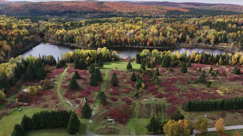 Autumn aerial footage of a lake surrounded by boreal forest in the Matapédia Valley, with Appalachian Mountains visible beneath a cloudy sky, Quebec, Canada.