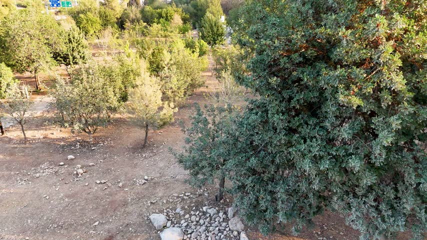 Aerial view of the wooded landscape surrounding the Makhal Memorial Monument in Jerusalem District, Israel.