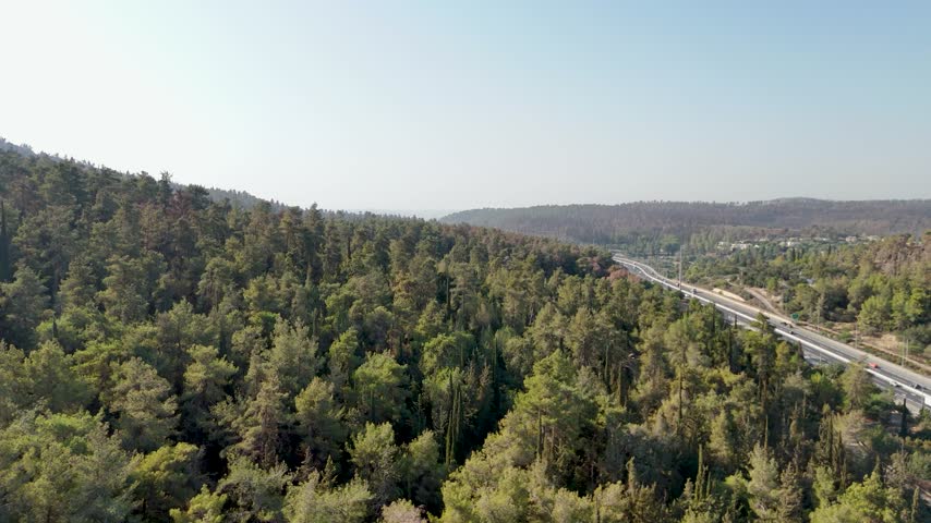 Aerial view of the forested landscape surrounding the Makhal Memorial Monument in Jerusalem District, Israel.