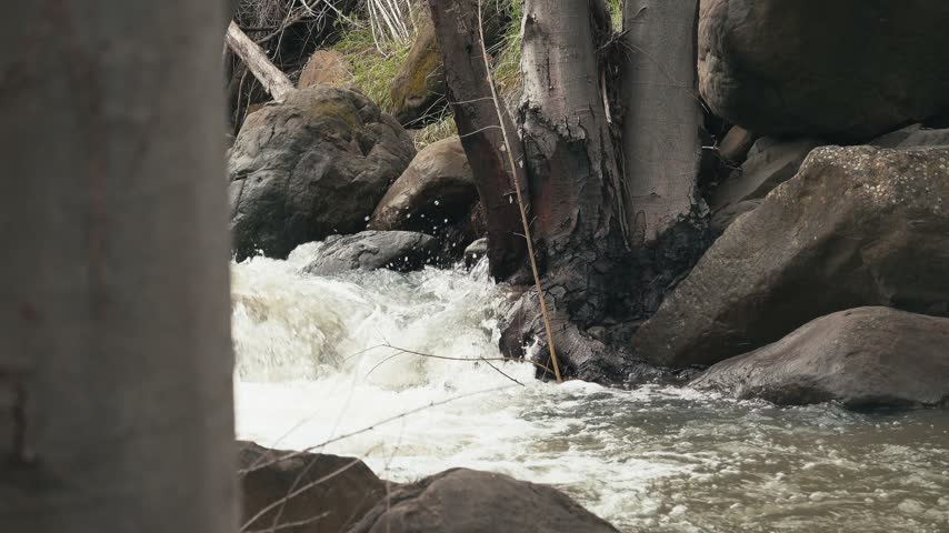 Fast water rushing through rocks in a forest creek