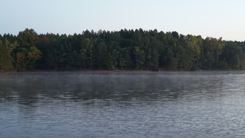 Early morning fog drifts over a calm lake in the foreground, with a tree-lined shoreline fading into soft mist in the background at dawn.