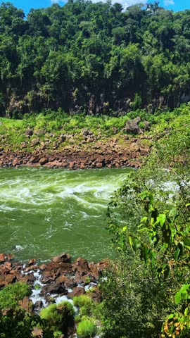 Iguazu river flowing through the jungle in Argentina, scenic natural landscape footage