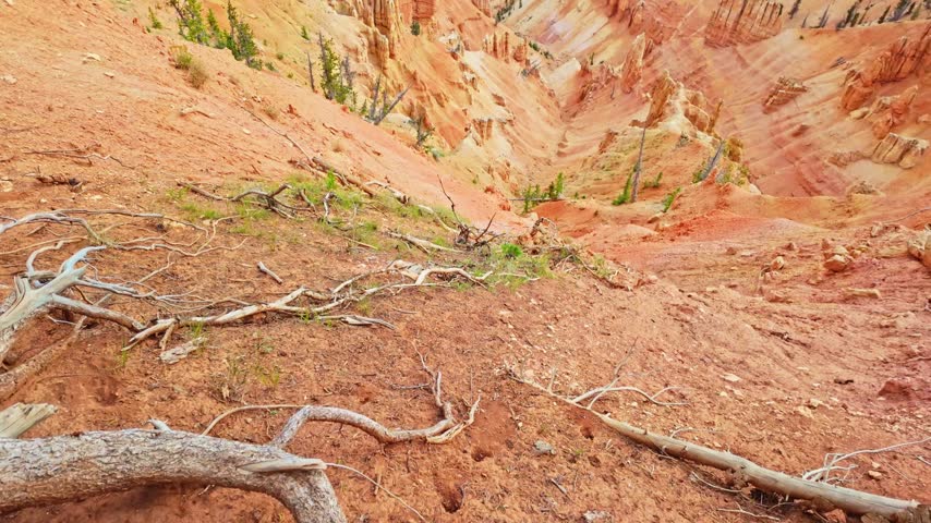 Golden sunrise light glows over the amphitheater formations at Spectra Point along the Ramparts Overlook Trail in Cedar Breaks National Monument