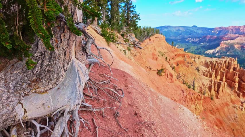Golden sunrise light glows over the amphitheater formations at Spectra Point along the Ramparts Overlook Trail in Cedar Breaks National Monument