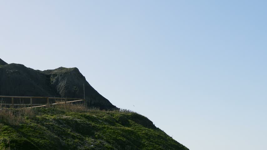 High-quality horizontal daylight photo of a coastal cliffside featuring green slopes, a wooden barrier, and a single bird gliding through the open sky