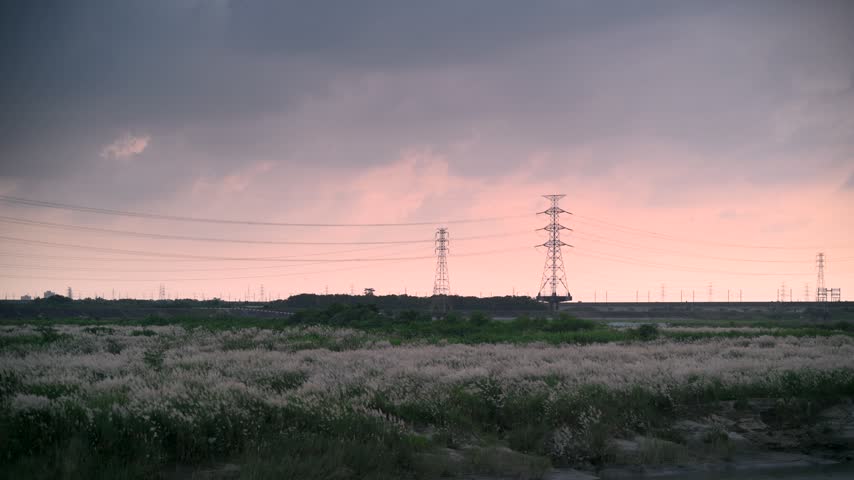 Autumn dusk landscape featuring blooming river grass fields, electricity pylons, and a pink-tinted sunset sky in Tainan, Taiwan.