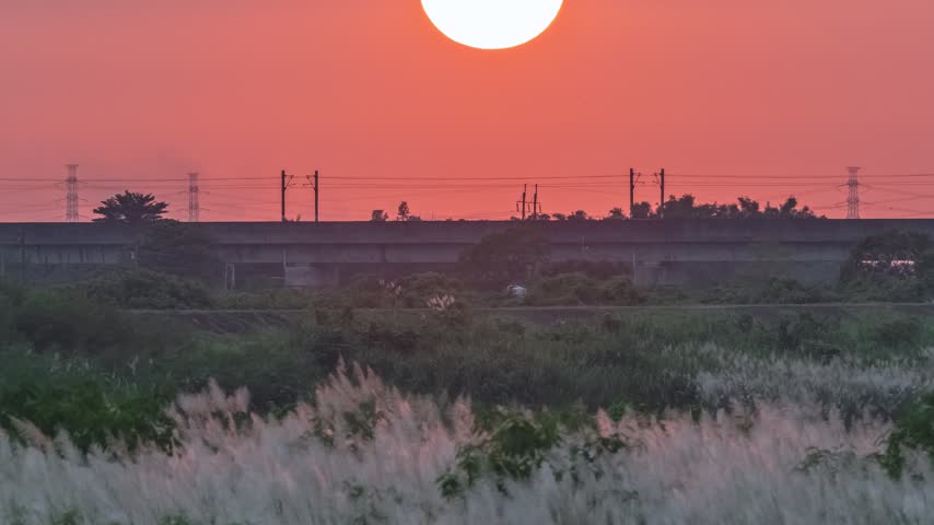 A vibrant red sunset glows behind a railway bridge and power lines, casting warm light on blooming silver grass in the foreground during an autumn evening in Taiwan.