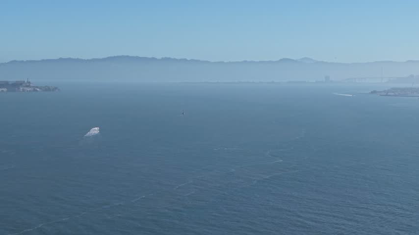 Pelicans flying at San Francisco Bay California 