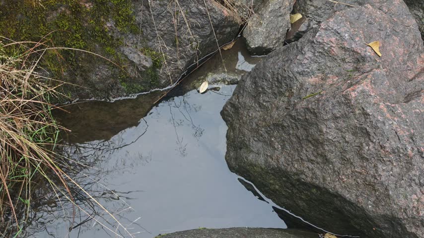 Granite boulders enclosing a stagnant puddle pool