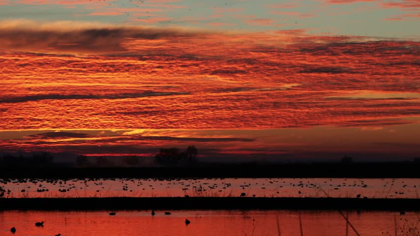 Panning view of a dramatic red and orange sunrise over wetlands filled with waterfowl at Merced National Wildlife Refuge in California’s Central Valley.