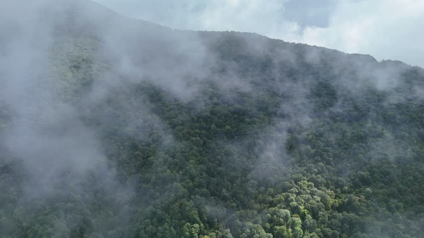 Foggy mountain forest with clearing clouds