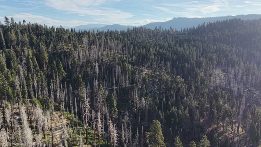 Kings Canyon National Park Califronia