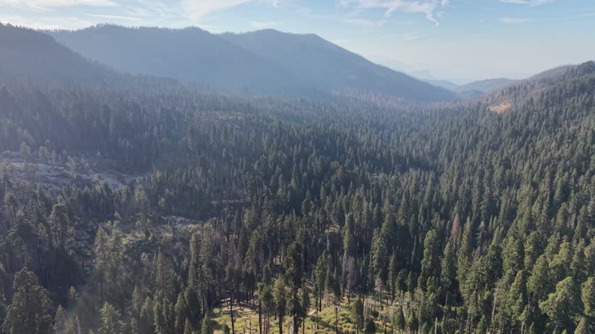 Kings Canyon National Park Califronia