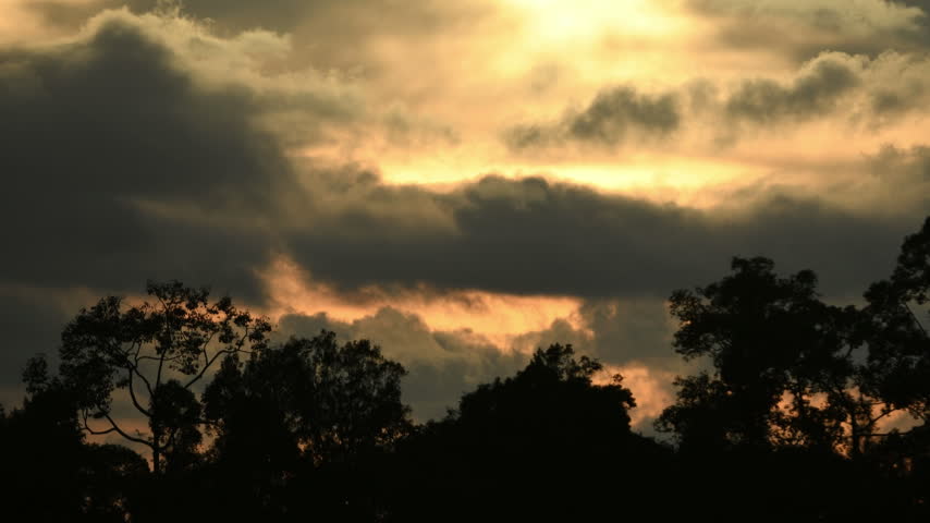Timelapse of sunset sunlight breaking through dramatic evening clouds above silhouetted trees. Atmospheric sundown dusk weather change, tranquil forest wilderness, and nature landscape concept.