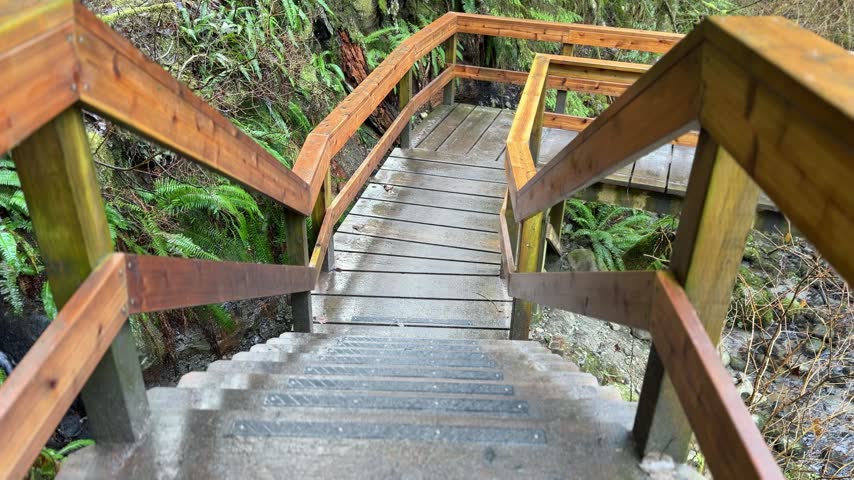 Wooden staircase with railings descending through a lush green forest with ferns at Lynn Canyon in Vancouver, wet boardwalk steps winding among mossy rocks.