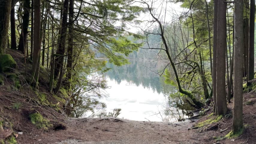 Calm Rice Lake reflecting the forest and sky through a gap in the trees in Vancouver, peaceful mirror-like water surrounded by mossy evergreens on a winter day.
