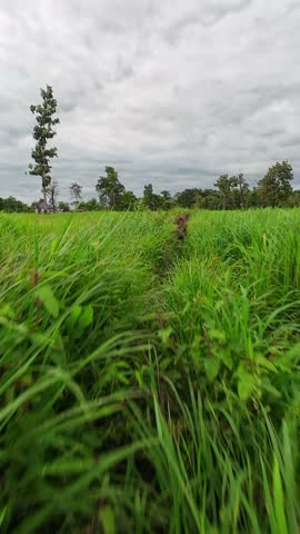Low angle view of green meadow under cloudy sky