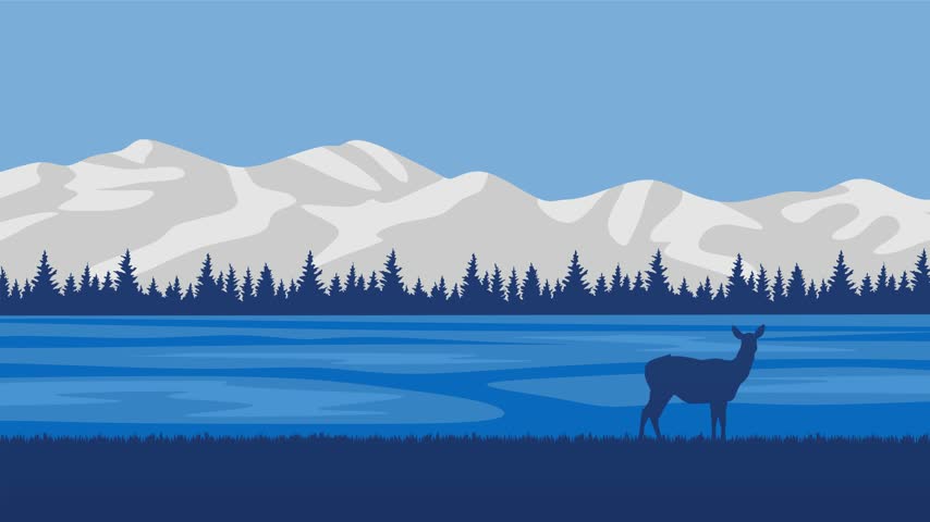 Views of the mountains and expansive skies in Grand Teton National Park