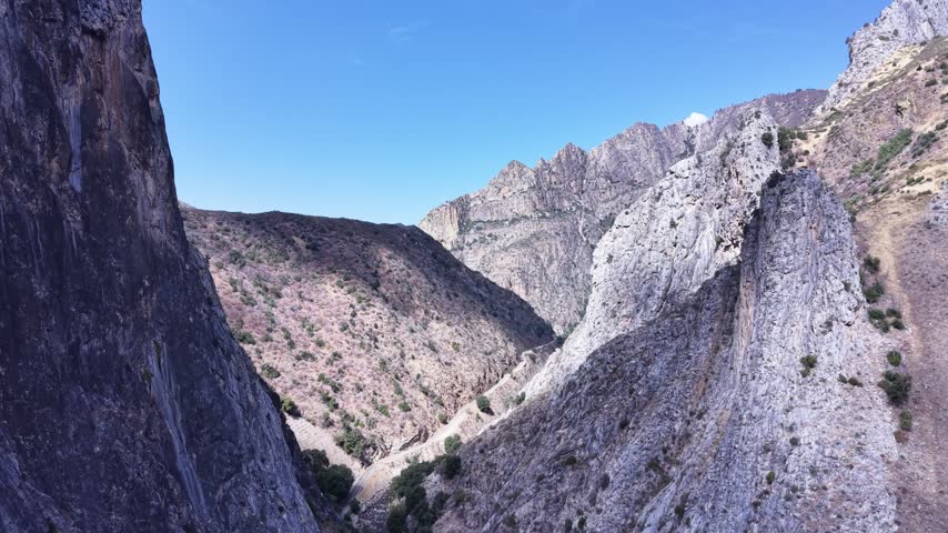 Kings Canyon creek National Park Califronia