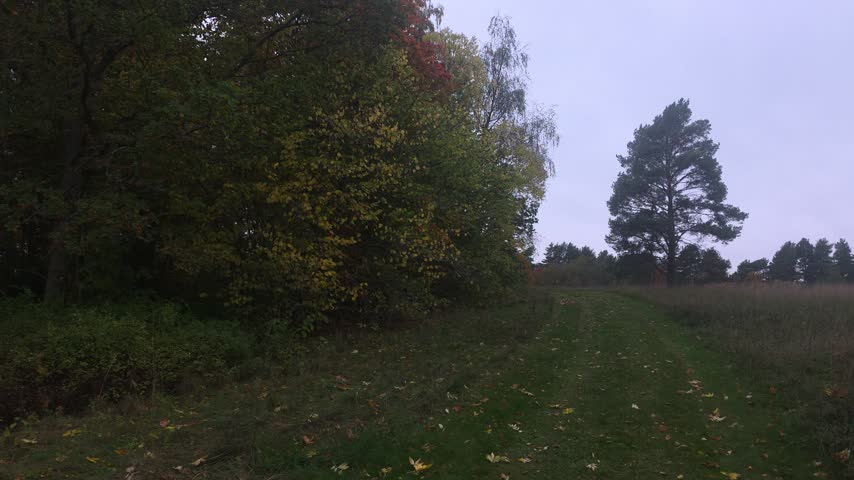 Hazy trail winding past open pastureland