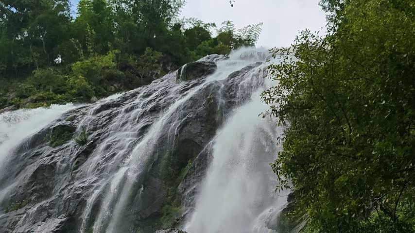 waterfall in the nature forest