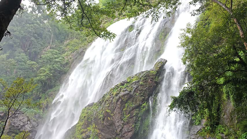 waterfall in the nature forest