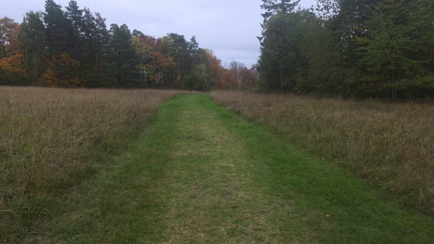 Grassy trail cutting through dry autumn fields