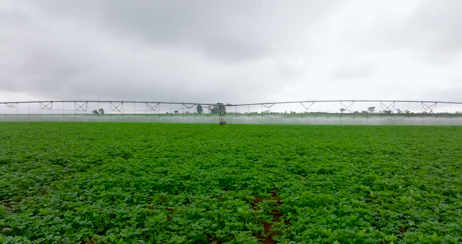 Center pivot irrigation over potato field on cloudy day. Aerial dolly left, low POV
