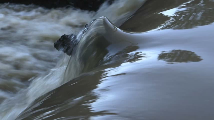 Close-up of water rushing over a dark log in a fast-flowing river, showing the smooth glassy surface of the current and the turbulent white water behind it.