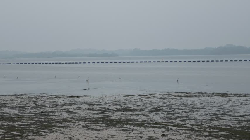 A peaceful landscape showcasing a scenic public park alongside a sandy beach and a flowing river under hazy skies.