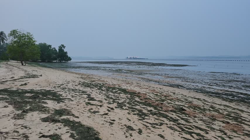 A peaceful landscape showcasing a scenic public park alongside a sandy beach and a flowing river under hazy skies.