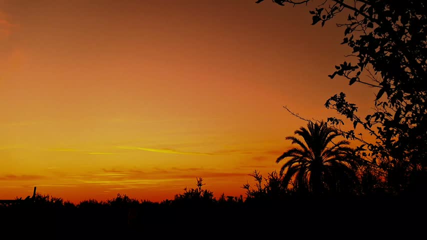 Beautiful orange sunset over palm trees silhouette in Morocco 
