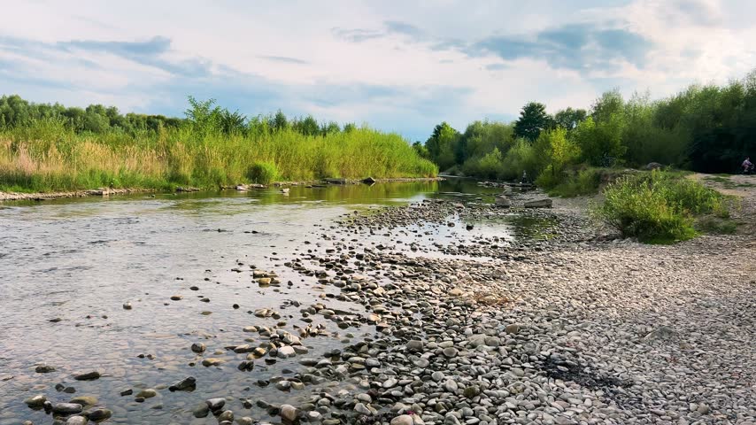 Shallow mountain river with a pebble bank flows under a cloudy sky. Crystal clear stream runs through a wild valley in summer. Picturesque view of the rocky shores and green forests. Natural water landscape in the daytime.