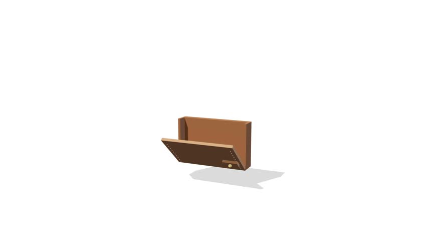 Open wallet with cards and cash inside, on white background
