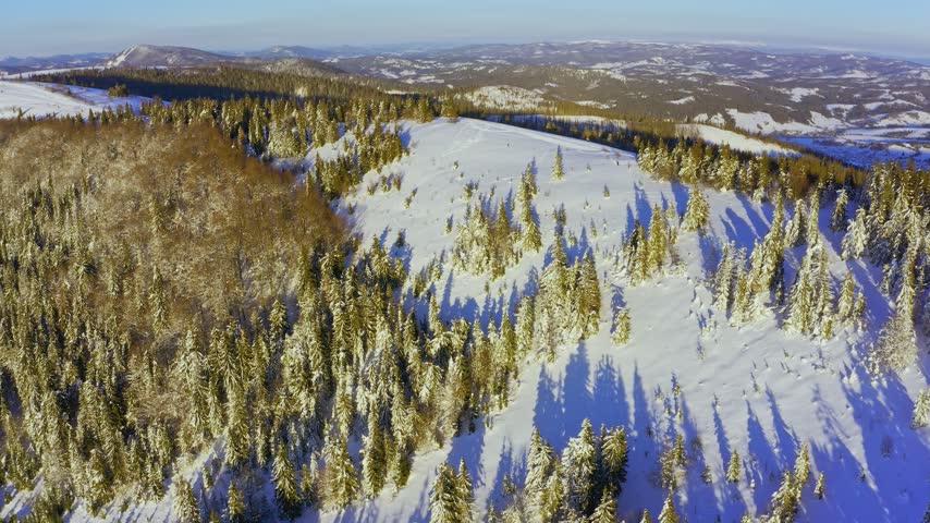 High snowy mountain covered with evergreen fir trees on a sunny cold day