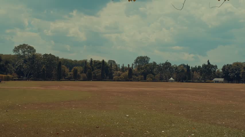 A peaceful static view of a wide, manicured green lawn surrounded by a dense line of tropical trees under a cloudy sky, suitable for nature background.