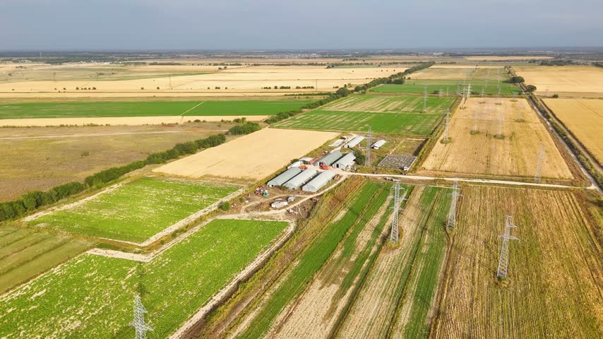 Aerial view of farm sheds surrounded by green cultivated strips and yellow corn fields, with access tracks and overhead power lines.