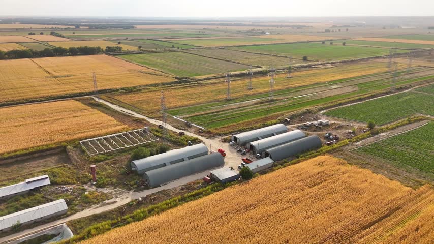 Aerial view of curved-roof farm sheds beside a yellow corn field, with green agricultural plots and power lines in the background.