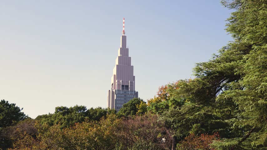 Shinjuku Gyoen National Garden in Naitomachi, Shinjuku and Shibuya, Tokyo, Kanto Region, Honshu Island, Japan, with pine trees, traditional Japanese landscape and city skyline behind on a sunny day