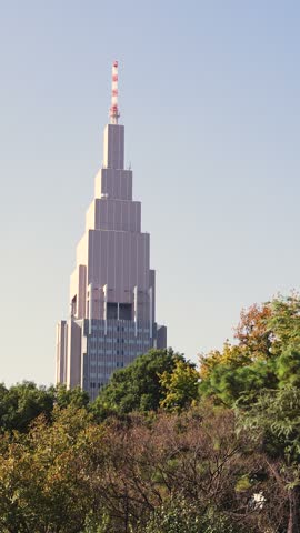 Shinjuku Gyoen National Garden in Naitomachi, Shinjuku and Shibuya, Tokyo, Kanto Region, Honshu Island, Japan, with pine trees, traditional Japanese landscape and city skyline behind on a sunny day