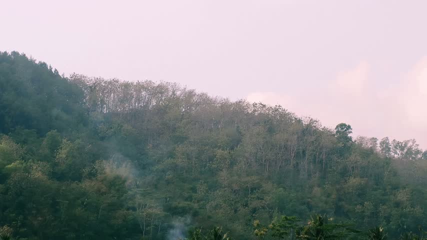 Lush Forest Covered Hill Under Pale Sky