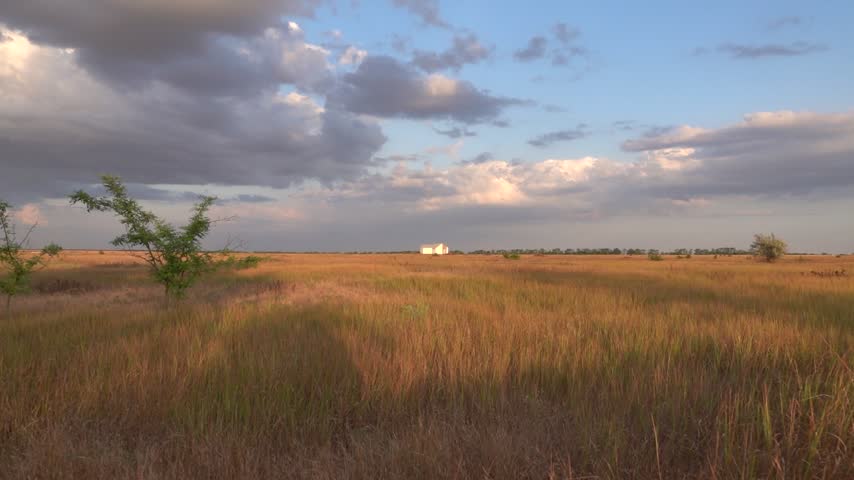 A dry wasteland in the steppe zone. Black Sea region. An abandoned farm with a house