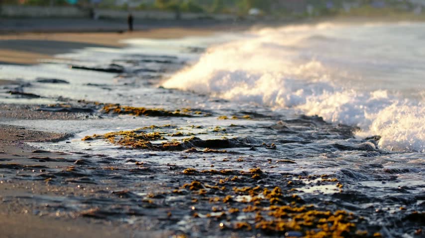 In slow motion, waves wash over the rocks on the shore.
