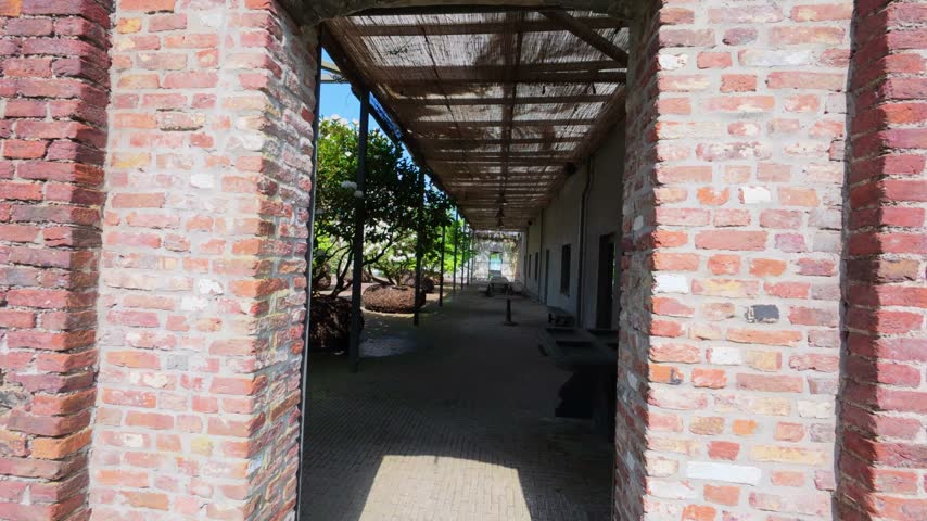 POV walk from a reed mat pergola into a hidden courtyard garden with large white flowering rhododendrons standing on giant root balls on brick paving in spring sunlight, Antwerp, Flanders, Belgium