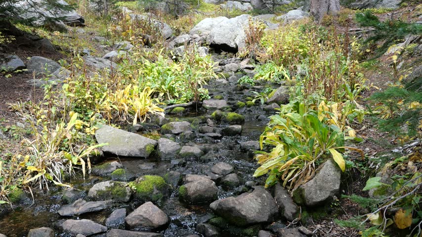 Autumn Mountain Stream Flowing Over Mossy Rocks in Colorado Rocky Mountains