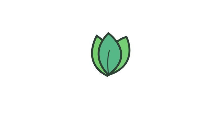 Vector illustration of a green leaves