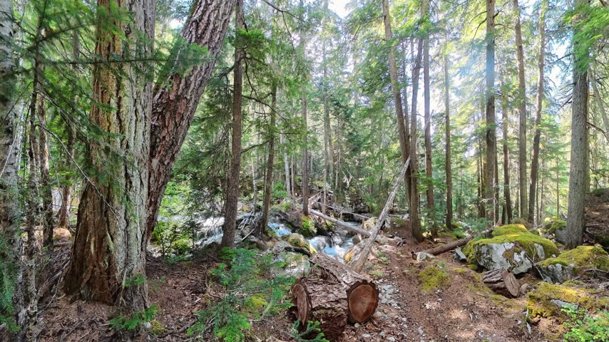 Hiker Approaches and Crosses Bridge in North Cascades Nationa Park